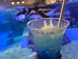 すみだ水族館に投稿された画像（2021/9/11）