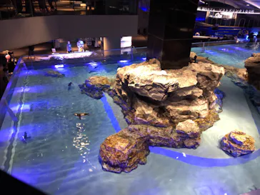 すみだ水族館に投稿された画像（2021/9/11）