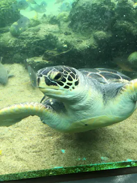 横浜・八景島シーパラダイスに投稿された画像（2021/9/11）