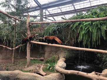 神戸どうぶつ王国に投稿された画像（2021/9/11）