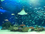 サンシャイン水族館に投稿された画像（2021/9/11）