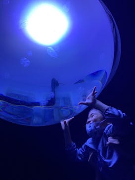 サンシャイン水族館に投稿された画像（2021/9/11）