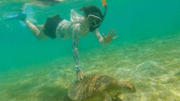 ちゃこたびに投稿された画像（2021/9/11）