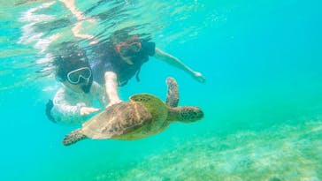 ちゃこたびに投稿された画像（2021/9/11）