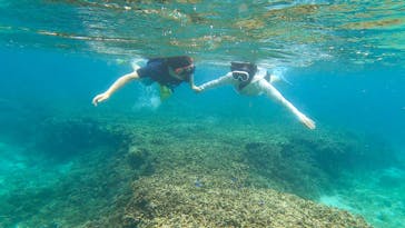 ちゃこたびに投稿された画像（2021/9/11）