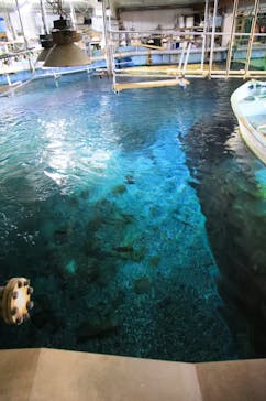 南知多ビーチランド＆南知多おもちゃ王国に投稿された画像（2021/9/11）