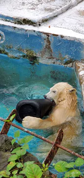 天王寺動物園に投稿された画像（2021/9/11）