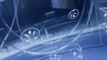 すみだ水族館に投稿された画像（2021/9/11）