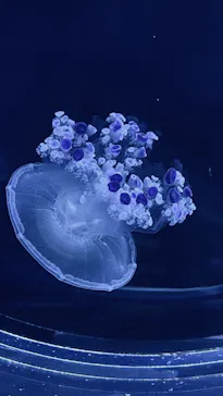 すみだ水族館に投稿された画像（2021/9/11）