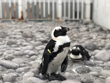 横浜・八景島シーパラダイスに投稿された画像（2021/9/11）