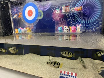 マクセル アクアパーク品川に投稿された画像（2021/9/11）