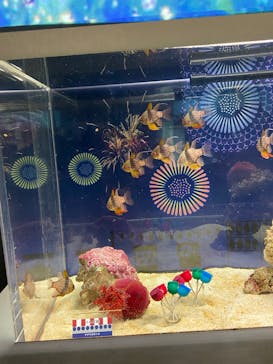 マクセル アクアパーク品川に投稿された画像（2021/9/11）