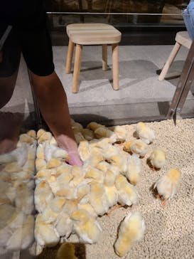 Moff animal world MARK IS みなとみらい店に投稿された画像（2021/9/11）