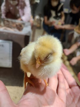 Moff animal world MARK IS みなとみらい店に投稿された画像（2021/9/11）