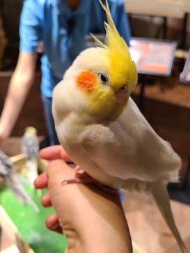 Moff animal world MARK IS みなとみらい店に投稿された画像（2021/9/11）