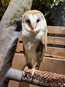 Moff animal world MARK IS みなとみらい店に投稿された画像（2021/9/11）