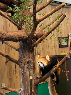 伊豆シャボテン動物公園に投稿された画像（2021/9/12）