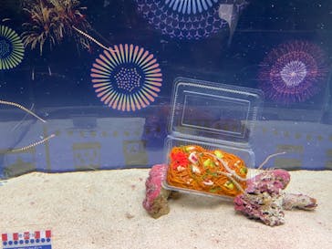 マクセル アクアパーク品川に投稿された画像（2021/9/12）