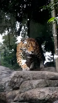 天王寺動物園に投稿された画像（2021/9/12）