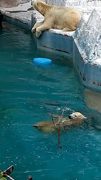 天王寺動物園に投稿された画像（2021/9/12）