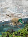 天王寺動物園に投稿された画像（2021/9/12）