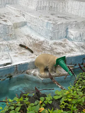 天王寺動物園に投稿された画像（2021/9/12）