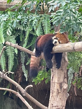 神戸どうぶつ王国に投稿された画像（2021/9/12）