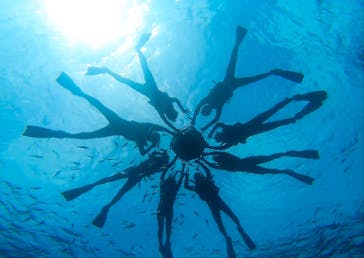 DIVING-SHOP SUNSに投稿された画像（2021/9/12）