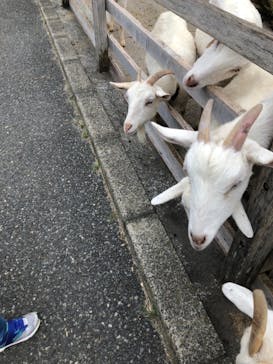 アロハガーデンたてやまに投稿された画像（2021/9/12）