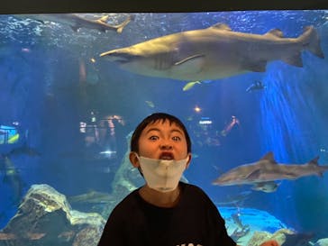 鳥羽水族館に投稿された画像（2021/9/12）