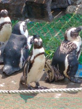 名古屋港水族館に投稿された画像（2021/9/12）