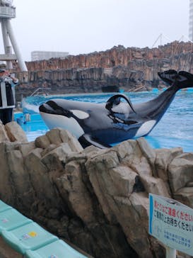 名古屋港水族館に投稿された画像（2021/9/12）