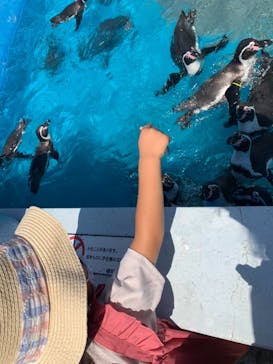 南知多ビーチランド＆南知多おもちゃ王国に投稿された画像（2021/9/12）