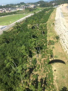 松島熱気球・パラグライダー体験に投稿された画像（2021/9/12）