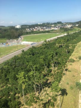 松島熱気球・パラグライダー体験に投稿された画像（2021/9/12）