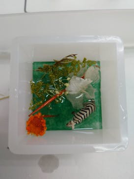 ずこうしつ〜sugamo〜に投稿された画像（2021/9/12）