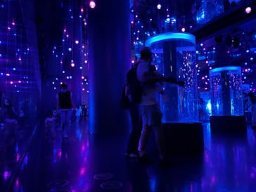 マクセル アクアパーク品川に投稿された画像（2021/9/12）