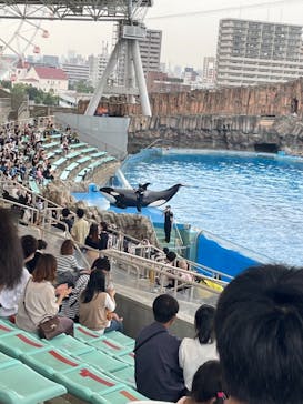 名古屋港水族館に投稿された画像（2021/9/12）