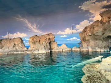 名古屋港水族館に投稿された画像（2021/9/12）