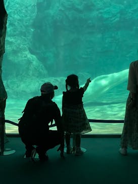 名古屋港水族館に投稿された画像（2021/9/12）