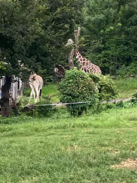 天王寺動物園に投稿された画像（2021/9/12）