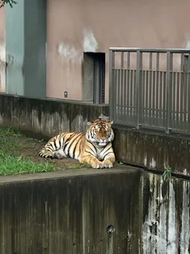天王寺動物園に投稿された画像（2021/9/12）