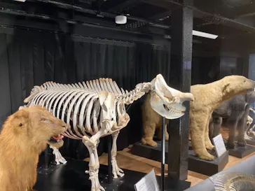 天王寺動物園に投稿された画像（2021/9/12）