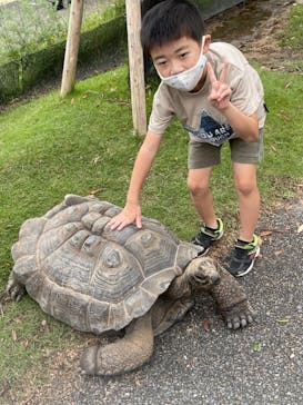 神戸どうぶつ王国に投稿された画像（2021/9/12）