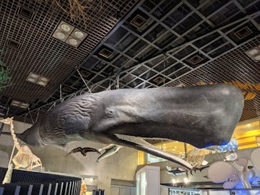 国立科学博物館に投稿された画像（2021/9/12）