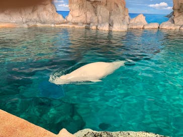 名古屋港水族館に投稿された画像（2021/9/12）