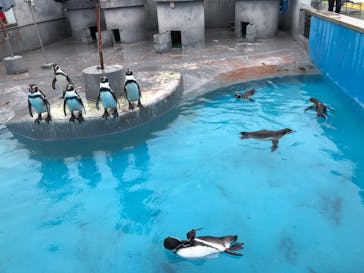 南知多ビーチランド＆南知多おもちゃ王国に投稿された画像（2021/9/12）