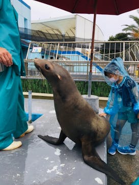 南知多ビーチランド＆南知多おもちゃ王国に投稿された画像（2021/9/12）