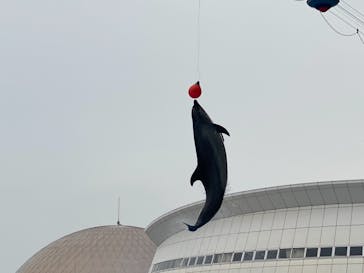 名古屋港水族館に投稿された画像（2021/9/12）