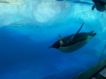 名古屋港水族館に投稿された画像（2021/9/12）